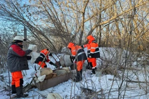 Незаконные стоки в новосибирскую реку Тулу начали перекрывать