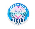 НРООМСиСД Вектор