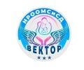 НРООМСиСД Вектор